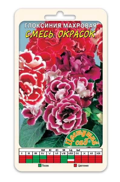 цГлоксиния Махровая смесь 5шт