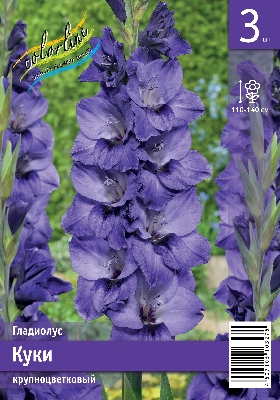 Гладиолус ЭКОНОМ-СЕРИЯ КУКИ (3 шт)