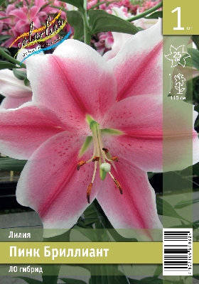 Лилия ЭКОНОМ-СЕРИЯ ПИНК БРИЛЛИАНТ (1 шт)