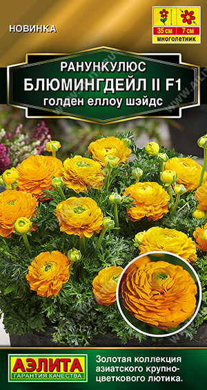 Ранункулюс Блюмингдейл голден еллоу шэйдс  3шт