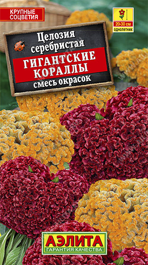 цЦелозия Гигантские Кораллы 0,05г