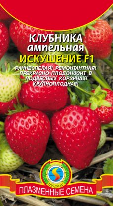 Клубника Искушение ампельная 10шт