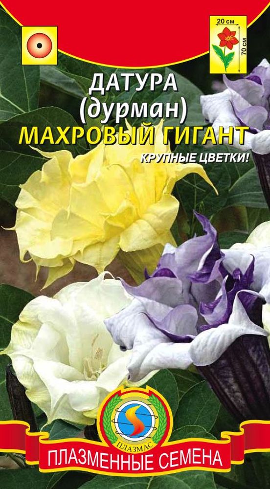 цДатура (Дурман) Махровый гигант 4шт