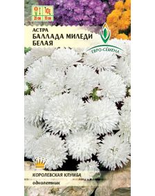 цАстра Баллада Миледи Белая 0,1г