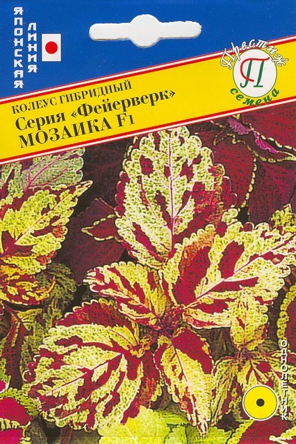 цКолеус Фейерверк Мозаика 10шт