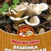 Грибы Вешенка Рожковидная
