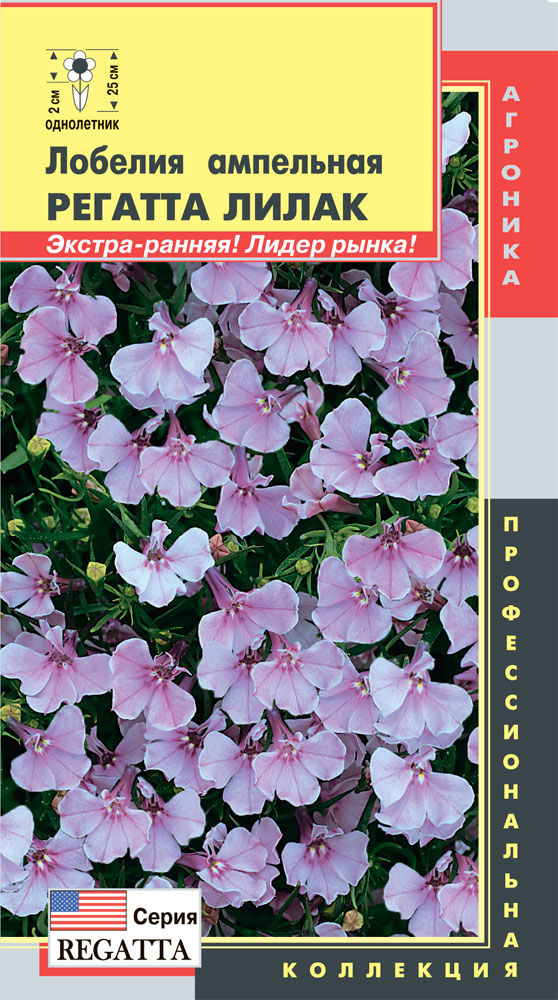 цЛобелия Регатта Лилак 8шт