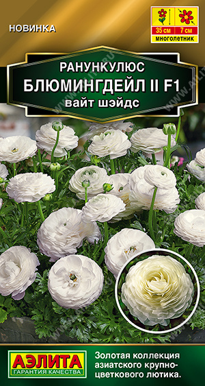 Ранункулюс Блюмингдейл вайт шэйдс  3шт