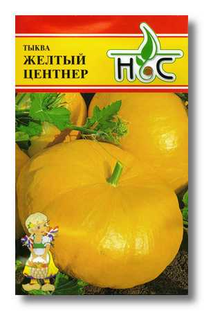 Тыква Желтый Центнер 3шт (Service Plus/Франция)