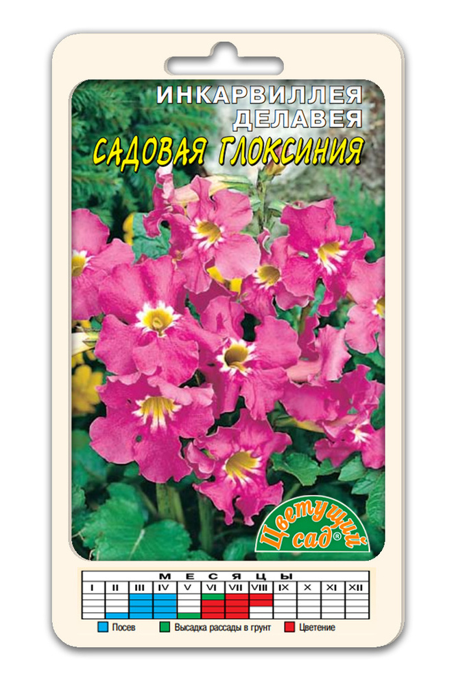 цИнкарвиллея Садовая глоксиния 0,05г