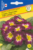 цПримула Биколор Титания, 5 шт Япония