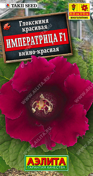 цГлоксиния Императрица Винно-красная 5шт