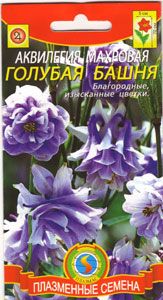 цАквилегия Голубая башня 9шт