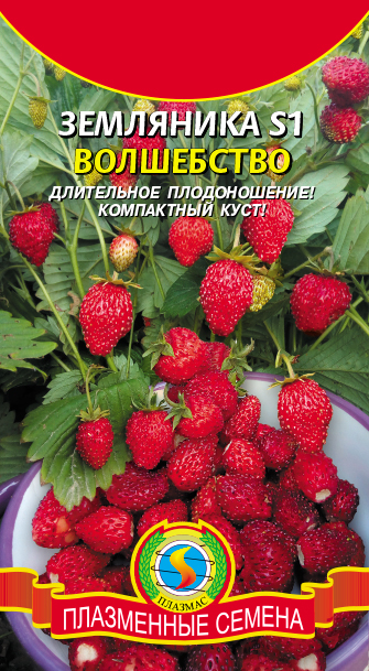 Земляника Волшебство 10шт