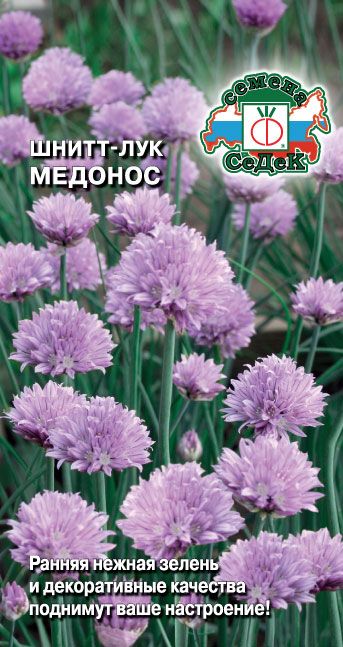 Лук шнитт Медонос 0,5г