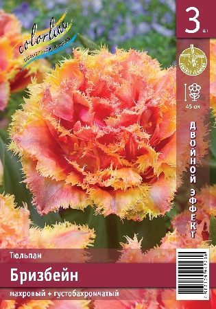 Тюльпан ЭКОНОМ-СЕРИЯ БРИЗБЕЙН (3 шт)