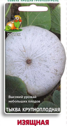 Тыква Изящная 10шт крупноплодная