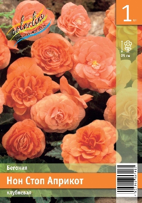 Бегония ЭКОНОМ-СЕРИЯ НОН СТОП АПРИКОТ (1 шт)