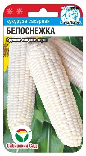 Кукуруза Белоснежка