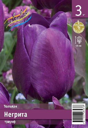 Тюльпан ЭКОНОМ-СЕРИЯ НЕГРИТА (3 шт)