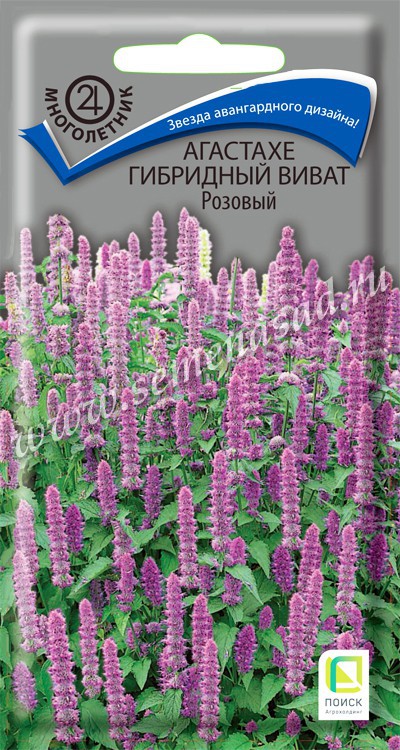 цАгастахе Виват розовый 10шт