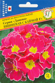 цПримула Данова вишневая с каймой, 5 шт Япония