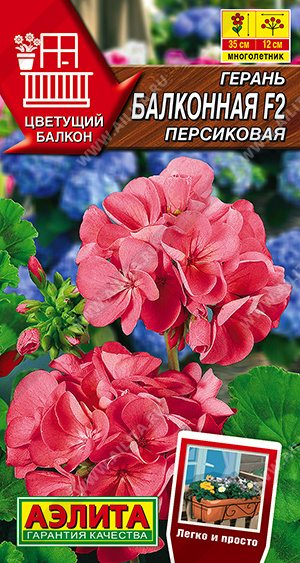 Герань Балконная Персиковая 5шт
