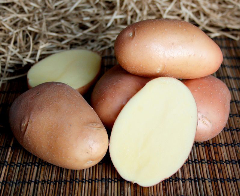 Картофель Ажур 2 (аналог Ред Скарлетт) Э (1 кг)