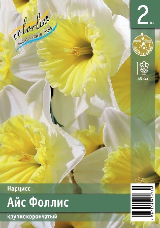 Нарцисс ЭКОНОМ-СЕРИЯ АЙС ФОЛЛИС (2 шт)