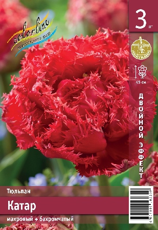 Тюльпан ЭКОНОМ-СЕРИЯ КАТАР (3 шт)
