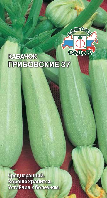 Кабачок Грибовские белоплодный 2г
