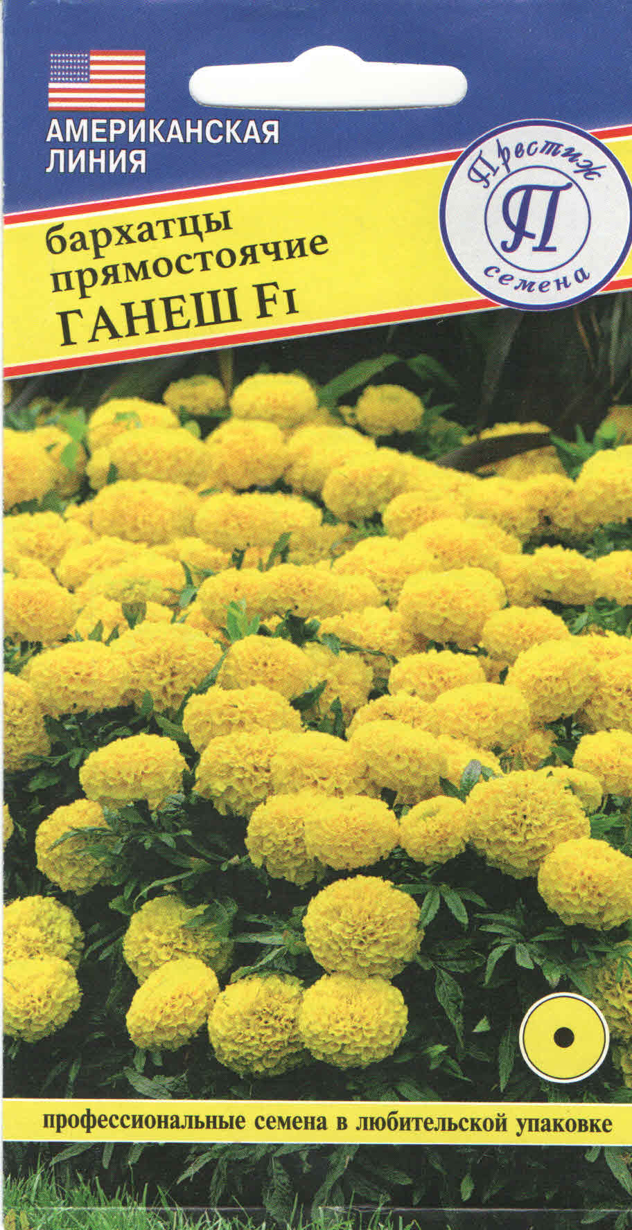 Бархатцы Ганнеш 5шт