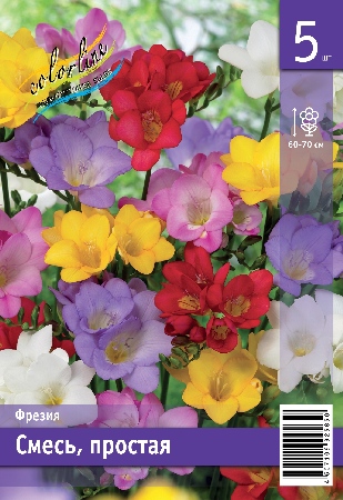 Фрезия ЭКОНОМ-СЕРИЯ СМЕСЬ, ПРОСТАЯ (5 шт)
