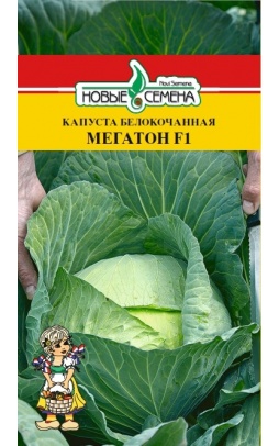 Капуста бк Мегатон 0,05г (Bejo Zaden/Голландия)