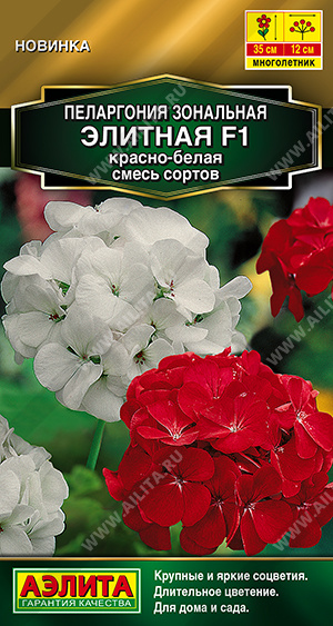 Пеларгония Элитная красно-белая 5шт