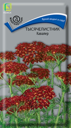 Тысячелистник Кавалер 0,1г