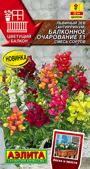 Львиный зев Балконное очарование 7шт
