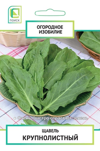 Щавель Крупнолистный 1г (Огородное изобилие)