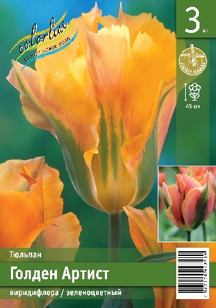 Тюльпан ЭКОНОМ-СЕРИЯ ГОЛДЕН АРТИСТ (3 шт)