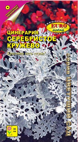 цЦинерария Серебристое кружево 0,1г