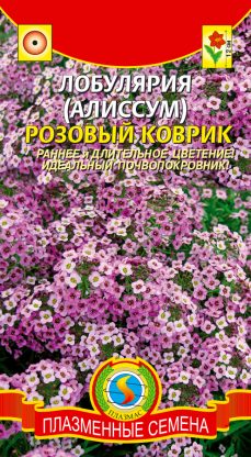 цЛобулярия(Алиссум) Розовый коврик