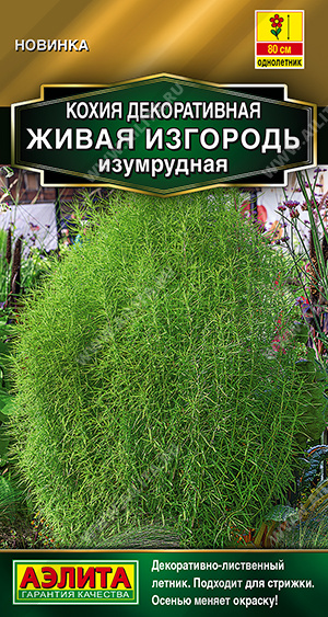 Кохия Живая изгородь изумрудная 0,1г
