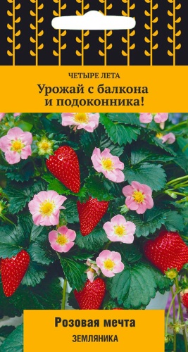 Земляника Розовая мечта 100шт Четыре лета
