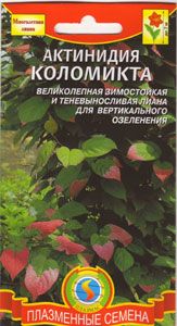 цАктинидия Коломикта 10шт