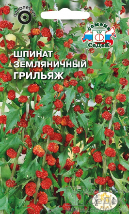 Шпинат Грильяж земляничный