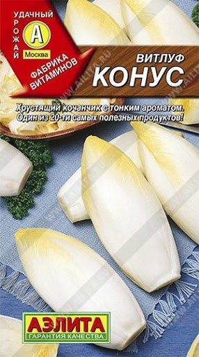 Салат Витлуф Конус