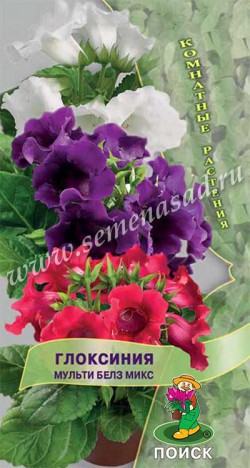 цГлоксиния Мульти Белз микс 5шт