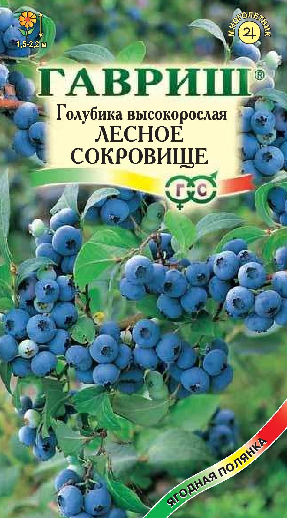Голубика Лесное сокровище 30 шт