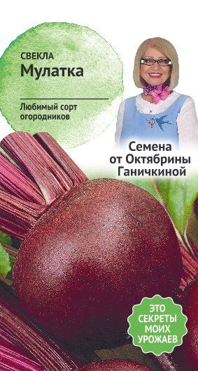 Свекла Мулатка 2г (семена от Ганичкиной)