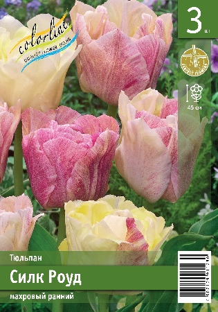 Тюльпан ЭКОНОМ-СЕРИЯ СИЛК РОУД (3 шт)